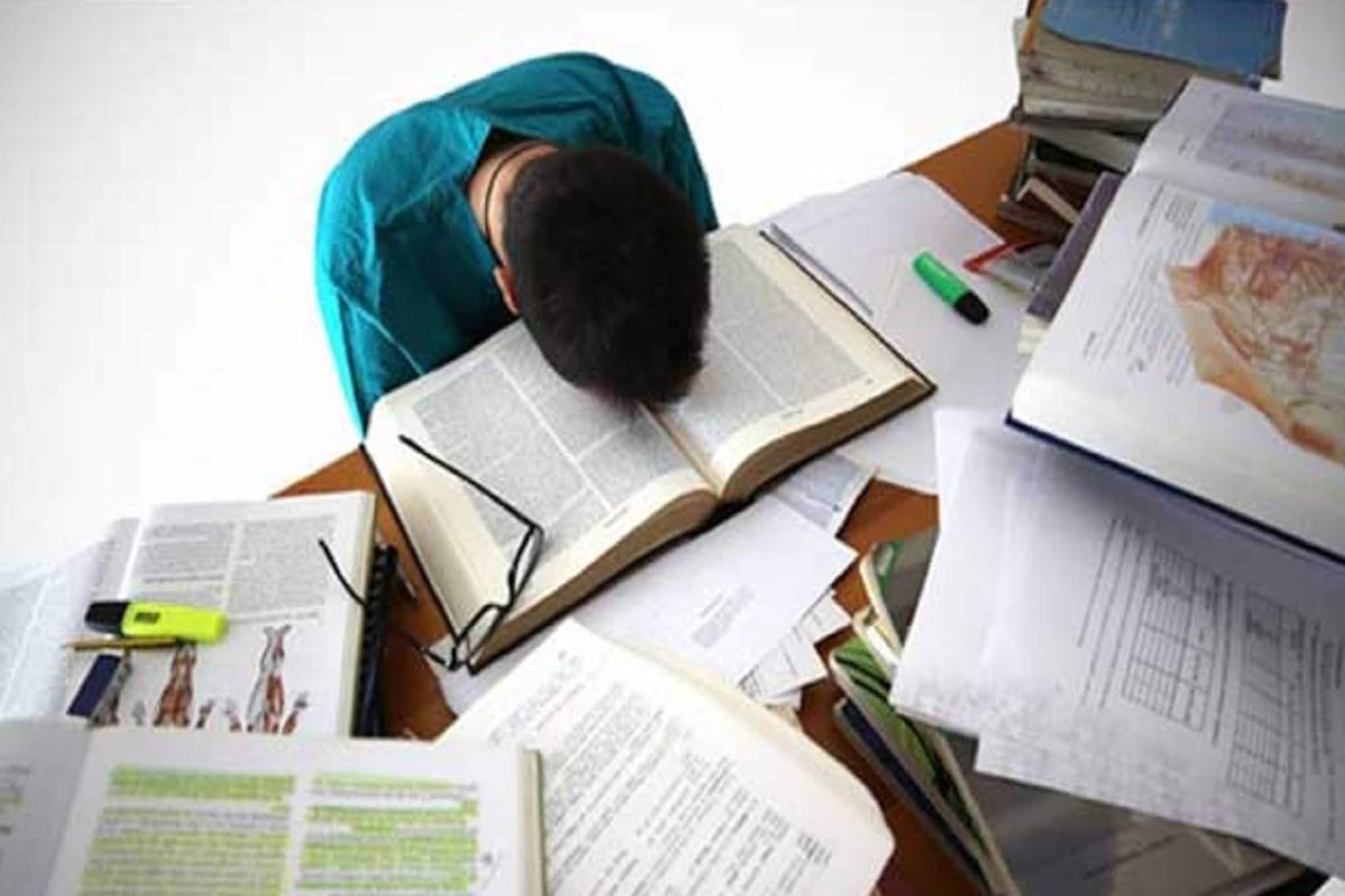 সন্তানের স্মৃতিশক্তি দুর্বল? রোজ দু'টো এই বাদাম খাওয়ান, পড়া ঝরঝরে মুখস্থ বলবে!