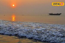 দিঘার সমুদ্রে এই জ্যান্ত প্রাণী! ব্যাপক চাঞ্চল্য ছড়াল সমুদ্র সৈকতে, তারপর...