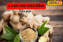 বাজারে চড়া দাম,বাড়িতে আদা মজুত রাখুন এভাবে,মাসের পর মাস পঁচবে না,গ্যারান্টি!