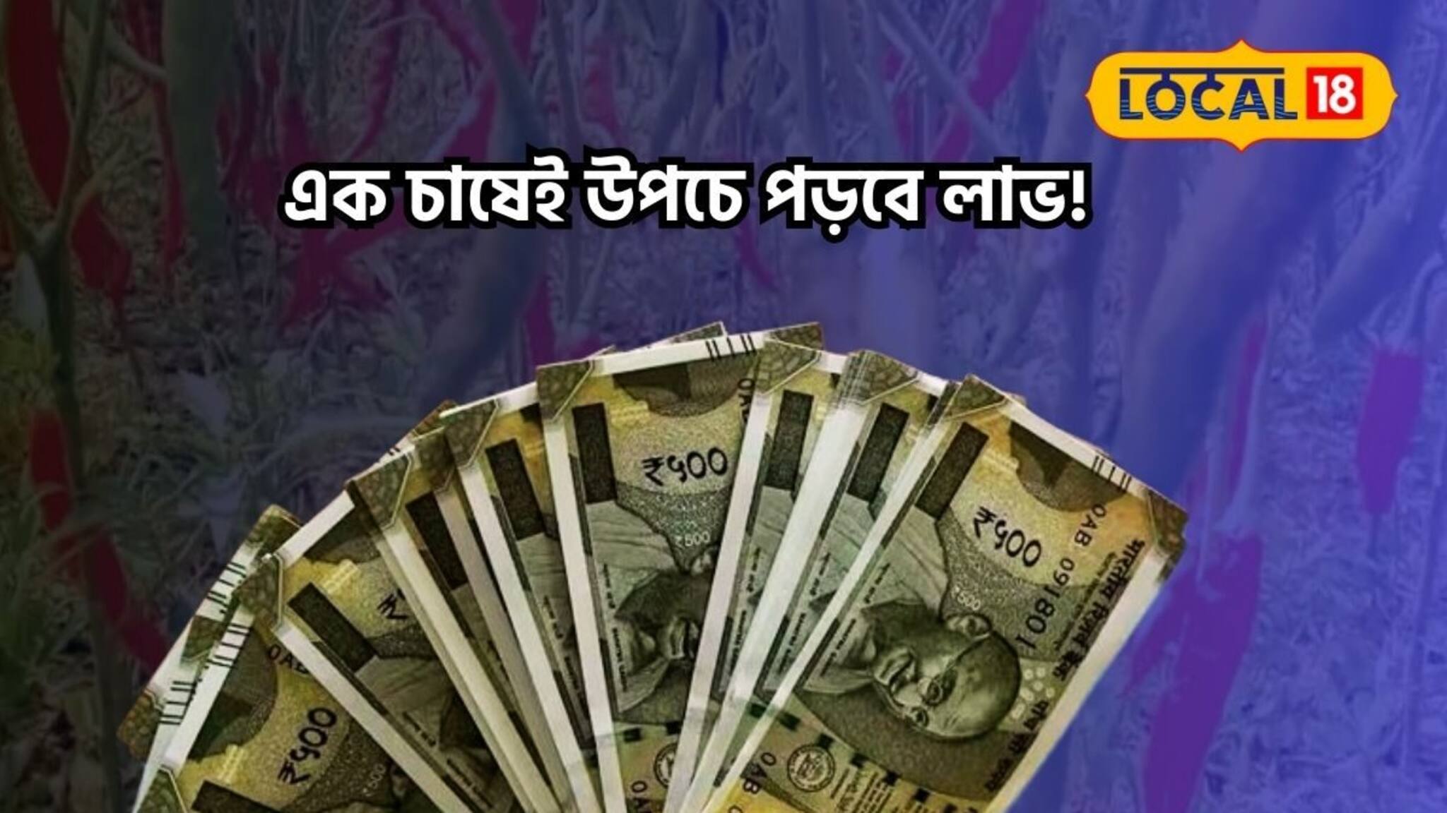 এক চাষেই হবেন রাজা! টাকা আসবে ডবল, জেনে নিন পদ্ধতি