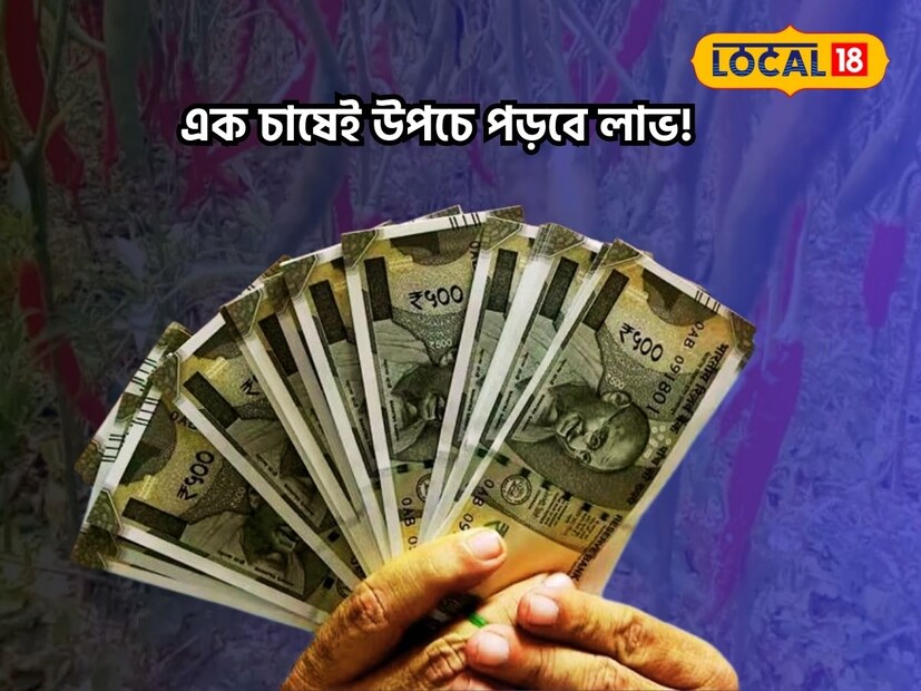 উত্তর দিনাজপুর:প্রচলিত একটি প্রবাদ রয়েছে ধানি লঙ্কার নাকি তেজ বেশি। আর সেই তেজেই সকলকে মাত করে দেয় সেই ধানি লঙ্কা। এবার সেই ধানি লঙ্কা চাষ করে গ্রামের মহিলারা স্বনির্ভর হতে শুরু করে দিয়েছে ।(পিয়া গুপ্তা)