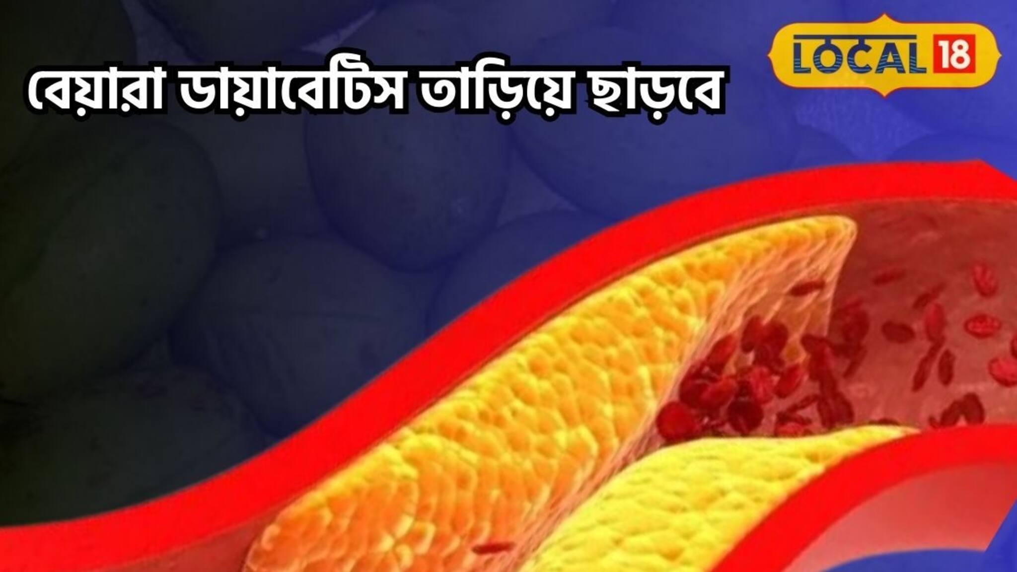 বুড়ো হাড়ে যৌবনের ভেল্কি!ভিটামিন-ফাইবারে খনি,ডায়াবেটিস তাড়িয়ে ছটফটে হবে শরীর