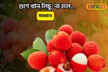 বদগুণের ভাণ্ডার! মরশুমি ফল ভেবে গপাগপ খান লিচু,দাম দিয়ে খেয়ে কতটা ক্ষতি করছেন?