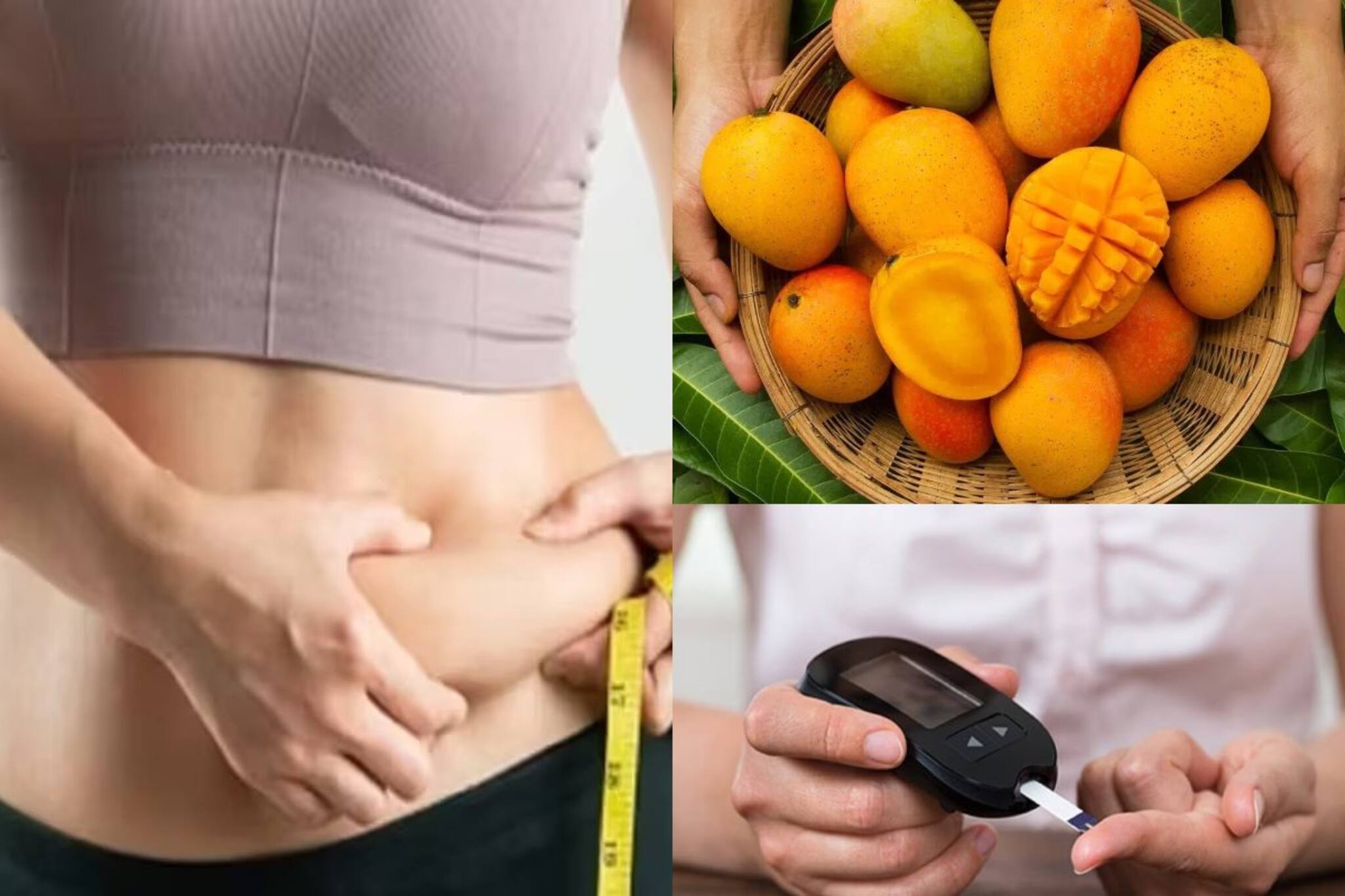 নিশ্চিন্তে খান পাকা আম, বশে থাকবে ওজন-ডায়াবেটিস! শুধু মানতে হবে এই 'নিয়ম'