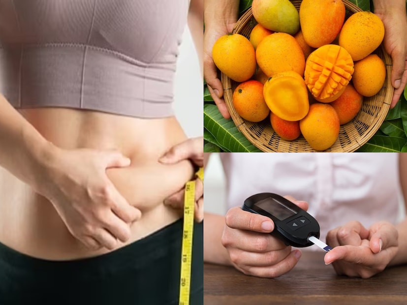 Diabetes-Mango: ওজন-ডায়াবেটিস হুড়মুড়িয়ে বাড়ছে! গপগপ করে পাকা আম খাচ্ছেন? রোজ ক'টা করে খাবেন? সঠিক 'নিয়ম'-মানলেই বশে থাকবে সুগার