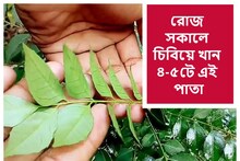 রোজ সকালে চিবিয়ে খান ৪-৫টে এই পাতা! মোমের মতো গলবে বাড়তি মেদ...