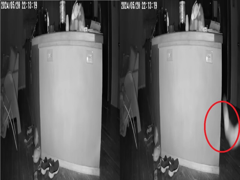 এই সিসিটিভি ক্যামেরায় যা কিছু রেকর্ড করা হয়েছে তা বিস্ময়কর। ওই মহিলা জানান, ‘‘গত কয়েকদিন ধরে মোশন ডিটেক্টর ক্যামেরায় কিছুই দেখা যাচ্ছিল না, কিন্তু গতরাতে হঠাৎ করে ঘরের রান্নাঘরে স্পিরিটের মতো কিছু একটা রেকর্ড করা হয়। এটা দেখে আমরা সবাই ভয় পেয়ে গেলাম। কেউ কি বলতে পারবেন এই জিনিসটা কি?’’ Photo- Ghosts Caught On Camera Facebook /Video grab