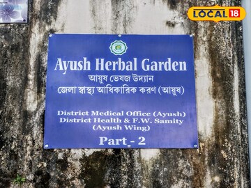 ভিটামিনের ‘পাওয়ার হাউস’! এই ৩ সবজি রোজ খেলেই হাড় হবে মজবুত, রোগমুক্ত হবে শরীর