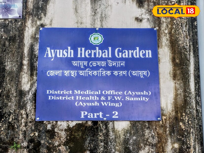 বাঁকুড়া আয়ুষ শাখা সূত্রে জানানো হয়েছে, আমাদের প্রয়োজনীয় ভিটামিন গুলি ওষুধের দোকানে নয়। পাওয়া যাচ্ছে বাড়ির বাগানে। এই ভিটামিন গুলির মধ্যে অন্যতম হল, ভিটামিন কে। এই ভিটামিন শরীরে ম্যাজিক এর মত কাজ করে।