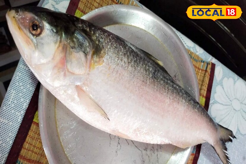 সমুদ্রে মাছ ধরার ক্ষেত্রে যেহেতু এখনও ব্যান পিরিয়ড ওঠেনি তাই হয়ত শ্বশুর-শাশুড়ির জামাইদের পাতে তাজা ইলিশের পেটি দিতে পারবেন না, তবে স্টক ইলিশের পেটি অনায়াসেই দিতে পারবেন।