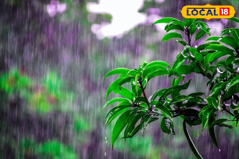 মঙ্গলবার কালিম্পং, জলপাইগুড়ি, আলিপুরদুয়ার ও কোচবিহারে ভারী থেকে অতিভারী বৃষ্টির পূর্বাভাস জারি। কালিম্পং, জলপাইগুড়ি, আলিপুরদুয়ারে জারি করা হয়েছে কমলা সতর্কতা।