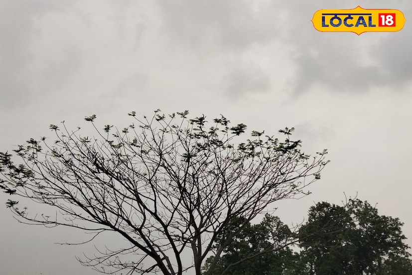 বুধবার পর্যন্ত উত্তরবঙ্গে পাঁচ জেলাতেই জারি থাকবে ভারী থেকে অতি ভারী বৃষ্টি চলবে। বইবে ৩০ থেকে ৪০ কিলোমিটার বেগে ঝোড়ো হাওয়া। কোনও কোনও জেলায় জারি কমলা সতর্কতা।