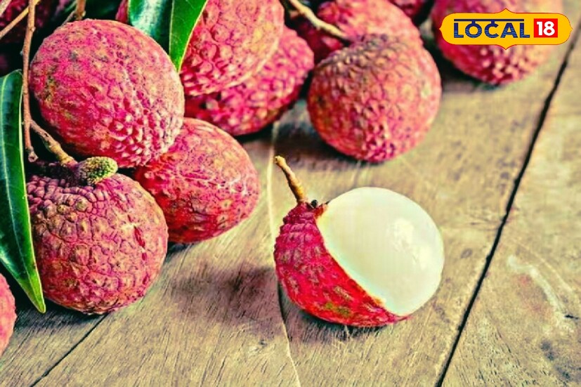 আয়ুর্বেদ শাস্ত্রে লিচুর বীজের যথেষ্ট কদর রয়েছে। কোষ্ঠকাঠিন্য সরাতে এই ফলের বীজের গুঁড়ো করে খাওয়ানো হয় রোগীকে। হজম সংক্রান্ত সমস্যা হলেও এই দাওয়াই কাজে লাগে দারুণ।