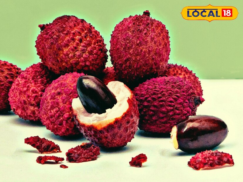 বাজারে প্রচুর পরিমাণে লিচু উঠতে দেখা যাচ্ছে। সাধারণ ভাবে এই লিচুর মধ্যে বেশকিছু উপকারিতা রয়েছে। তবে শুধুই লিচু নয়, লিচুর বীজের মধ্যেও রয়েছে মানব দেহের জন্য উপকারিতা।