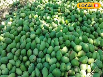 বাগানে