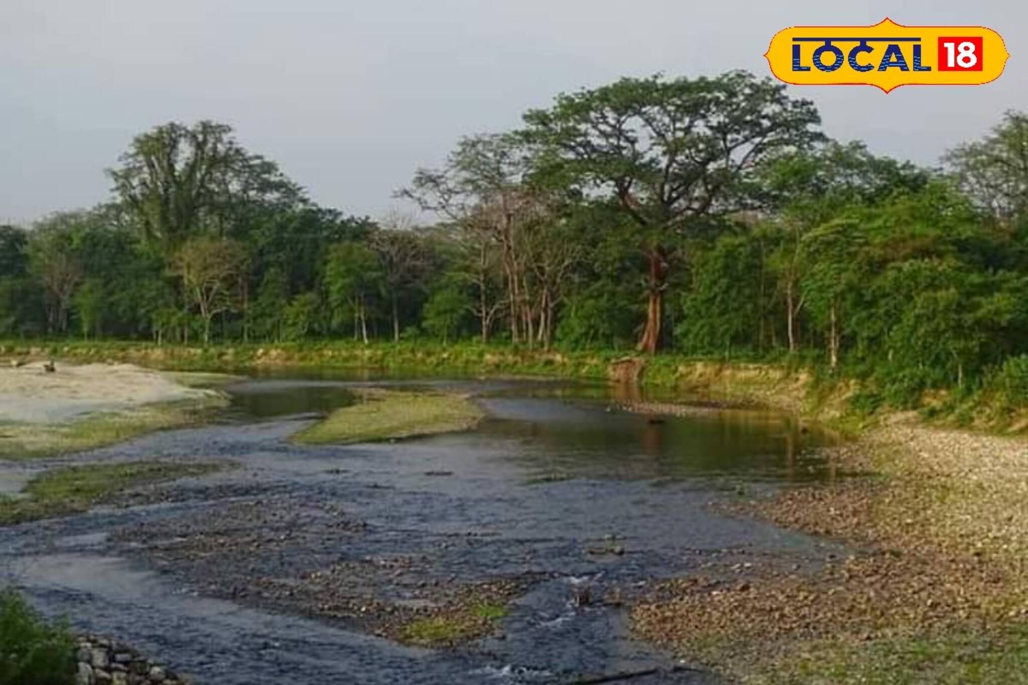 Dooars Tour: জঙ্গল ভালবাসেন, ক'দিন পরেই কিন্তু  বন্ধ হয়ে যাবে ডুয়ার্স!