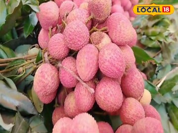 লিচু