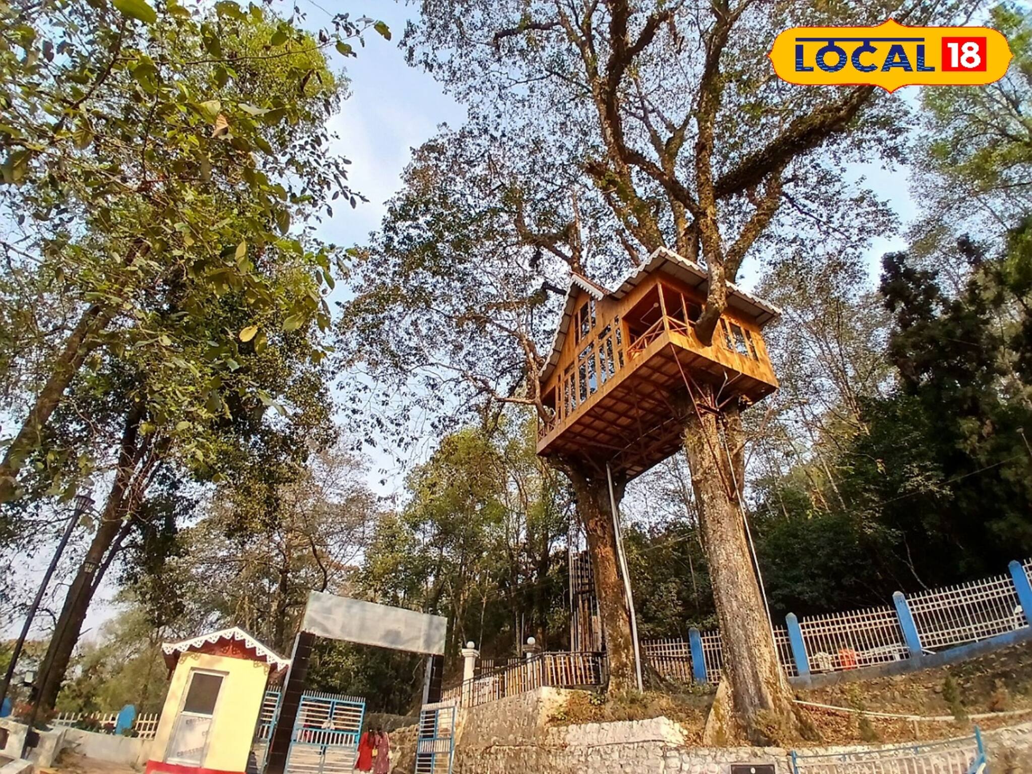 পাহাড়ের কোলে মংপুর গাছ-বাড়ি! রাত কাটাতে চাইলে কী করতে হবে? এখুনি জানুন