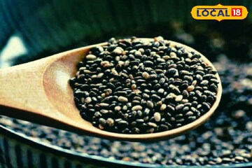 ওজন কমাতে চিয়া সিড খাচ্ছেন! হতে পারে মারণ রোগ! কারা একেবারেই খাবেন না? জানুন