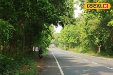 শালগাছের সারি, জঙ্গলে ঢুকলে দমকা ঠান্ডা হাওয়া...পৌঁছে যান ঘণ্টা তিনেকেই