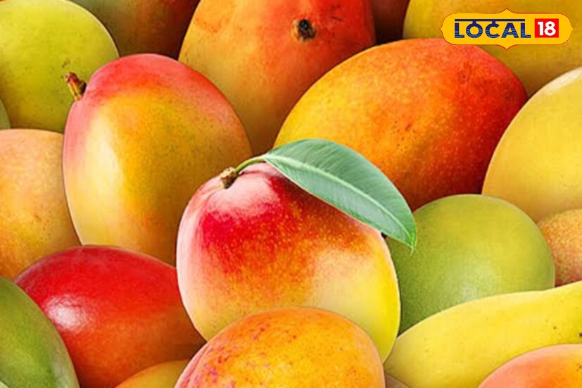 বর্তমানে বাজারে পাকা রসালো আম ওঠা শুরু হয়েছে। তবে পাকা আম তো হলেই নয়, গাছ পাকা আম সবচেয়ে বেশি উপকারী। বর্তমানে বাজারে পাকা রসালো আম ওঠা শুরু হয়েছে। তবে পাকা আম তো হলেই নয়, গাছ পাকা আম সবচেয়ে বেশি উপকারী।