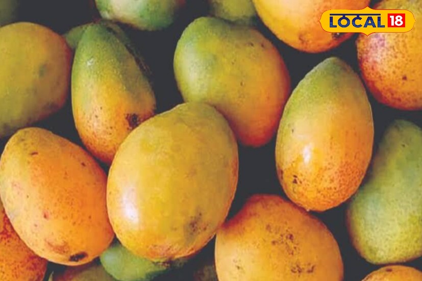 পাকা আমে ভাল যথেষ্ট আঁশ জাতীয় উপাদান পেকটিন থাকে, যা পাকস্থলিতে থাকা খাদ্যকে ভালোভাবে পরিপাক হতে সাহায্য করে। 