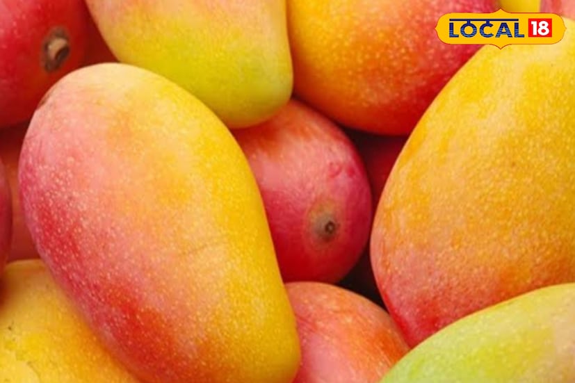 একজন ব্যক্তির কতটা আম খাওয়া উচিত তা ওই ব্যক্তি কতটুকু আম খেতে পারবেন তার উপরেই নির্ভরশীল। তবে একজন সুস্থ স্বাভাবিক মানুষ অনায়াসেই দৈনিক দুইটি আম খেতে পারেন। তবে ডায়াবেটিস থাকলে মাত্রা কমাতে হবে। 