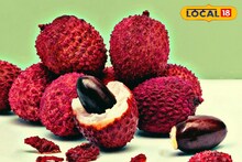 লিচুর বীজের গুঁড়ো খেলে ব্লাড সুগার নিয়ন্ত্রণ হয়, ডাক্তারের এই কথা জানলে চমকাবেন