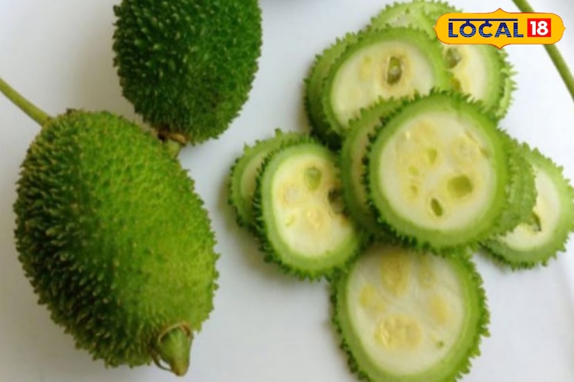 কাঁকরোলে নির্দিষ্ট একটি প্রোটিন থাকে, যা ক্যানসার কোষের বৃদ্ধিকে প্রতিহত করতে পারে। এজন্যই কাঁকরোলকে ‘স্বর্গীয় ফল’ আখ্যা দেওয়া হয়। চিকিৎসক রঞ্জিত দত্ত জানান, 