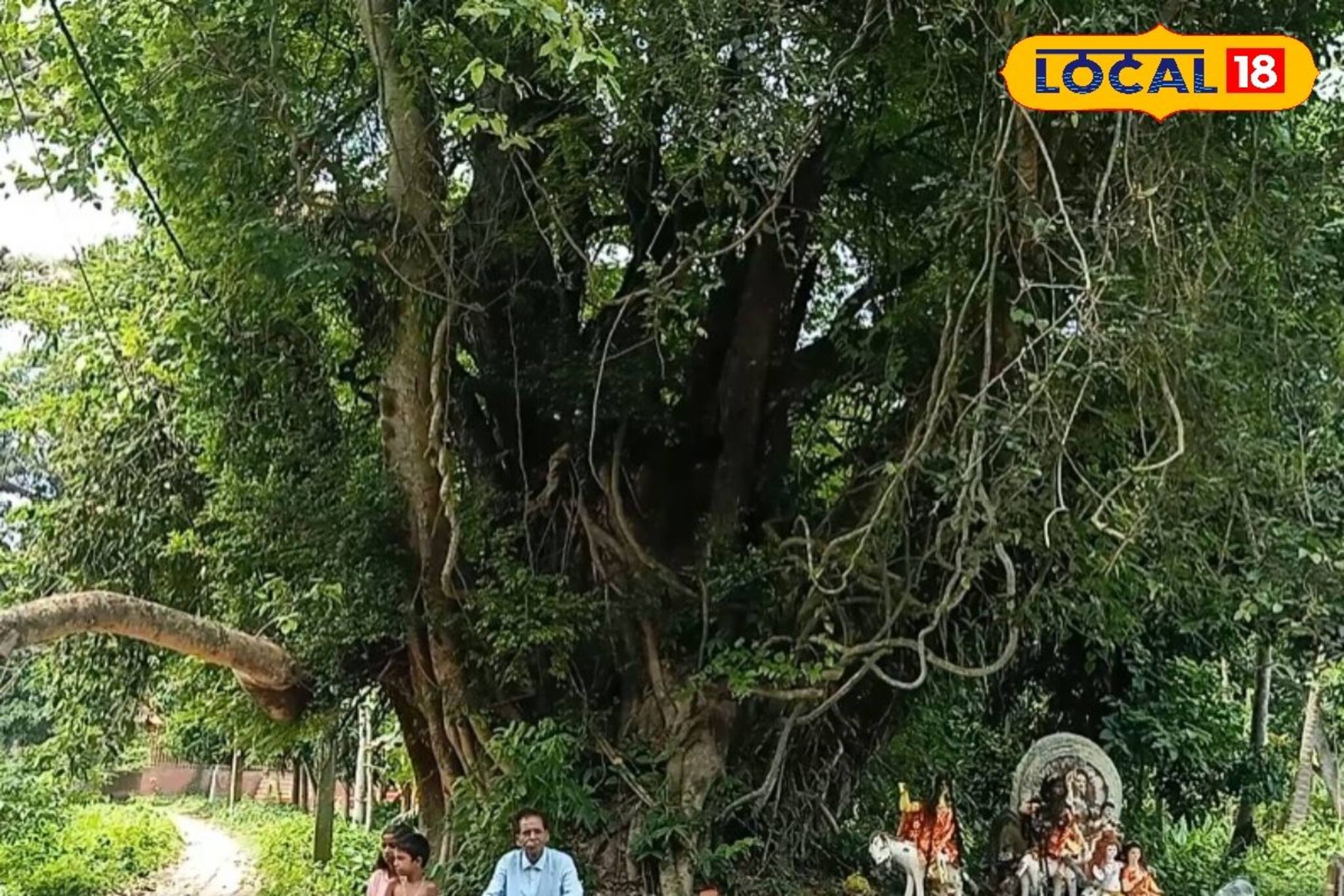 বাবা লোকনাথ ধ্যান করতেন, স্মৃতি বিজড়িত সেই অশ্বত্থ গাছটি দেখে আসুন