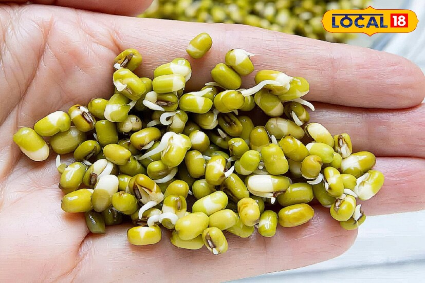 যাঁরা ওজন কমানোর জন্য ডায়েট করেন। তাঁরা রোজ অঙ্কুরিত মুগ খেতে পারেন। মুগের মধ্যে ফাইবারের পরিমাণ অনেক বেশি। ফাইবার-যুক্ত খাবার অন্ত্রের কাজকর্ম ভাল রাখতে সাহায্য করে ফলে ওজন কমে।