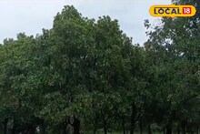দেশের বৃহত্তম হিজল বন বাংলায়, সার্ভের পরই হবে সংরক্ষণ