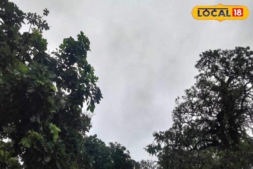 উত্তরবঙ্গের একাধিক জেলায় ভারী থেকে অতি ভারী বৃষ্টিপাতের পূর্বাভাস। বুধবার উত্তরবঙ্গের নীচের দিকের তিন জেলায় বৃষ্টিপাতের সম্ভাবনা কিছুটা কমতে পারে। 