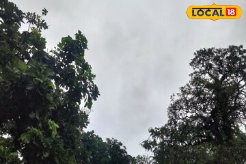 উত্তরের পাঁচ জেলায় ভারী বৃষ্টিপাতের সম্ভাবনা! সতর্কতা জারি আবহাওয়া দফতরের উত্তরের পাঁচ জেলায় ভারী বৃষ্টিপাতের সম্ভাবনা! সতর্কতা জারি আবহাওয়া দফতরের