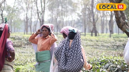 চা বাগানে মৃত ১