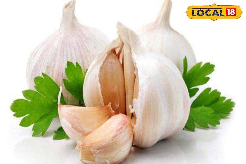 ঢেঁকি শাক ভাজা তৈরির উপকরণ:ফিডলহেড ফার্ন (ভাজা) কাটা – ১ বাটি পেঁয়াজ কুচি – ১টি ভেজানো ছোলা – ১/২ কাপ কাঁচা মরিচ – ১টি আদা-রসুন বাটা – ১ চা চামচ