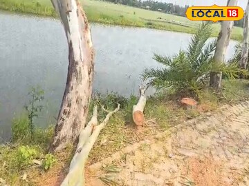 পড়ে