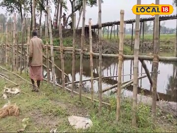 বাঁশের
