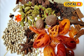 বাড়িতে বানিয়ে রাখুন সহজ এই মশলা! ‌যখন-তখন রাঁধুন দোকানের মতো বিরিয়ানি
