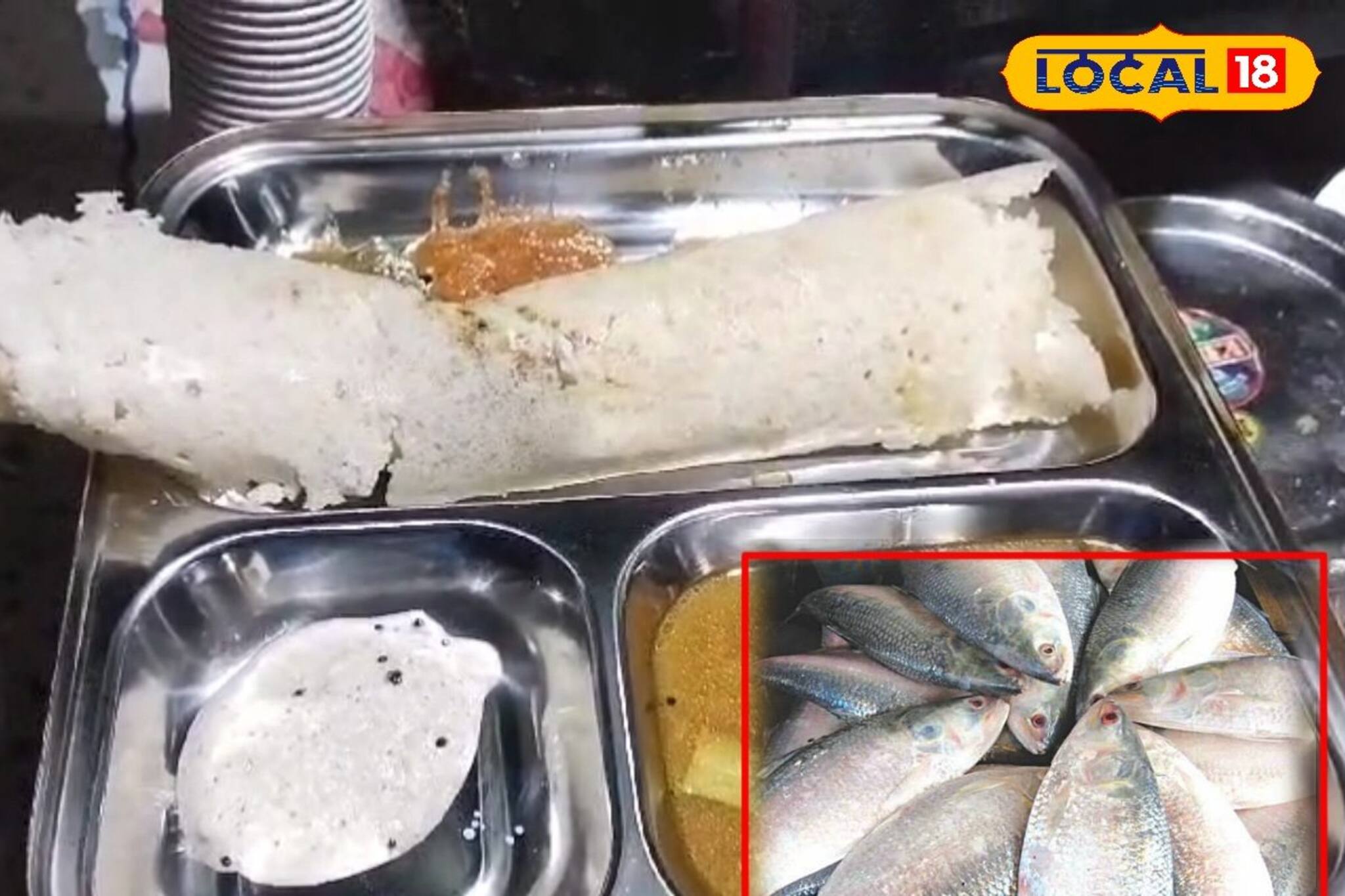 ইলিশ ধোসা-ভেটকি ধোসা! মুখে স্বাদ লেগে থাকবে একবার খেলে, কোথায় মিলছে জানেন?