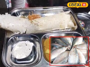 ইলিশ