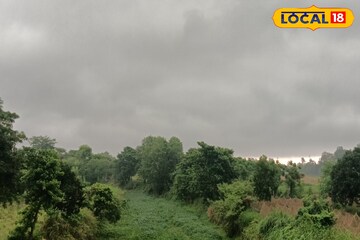 আকাশের মুখ ভার, ধেয়ে আসছে বজ্রবিদ্যুৎ-সহ বৃষ্টি! উত্তরে ভারী বর্ষণ-দক্ষিণে?