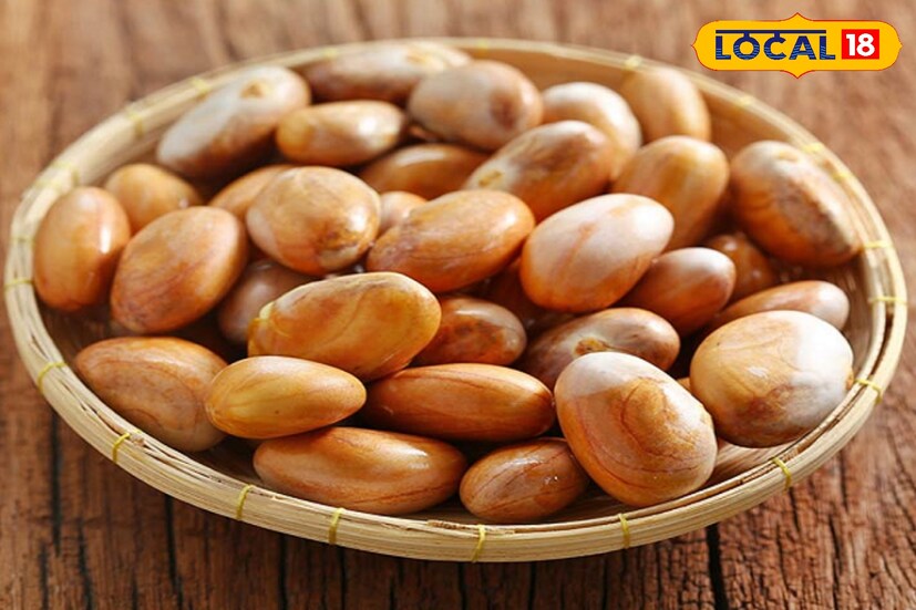 স্বাস্থ্যকর হাড়ের জন্য ক্যালসিয়াম ছাড়াও প্রয়োজন ম্যাগনেসিয়ামের। কাঁঠালের বীজে প্রচুর পরিমাণে থাকে ম্যাগনেসিয়াম। যা ক্যালসিয়াম শোষণে সাহায্য করে এবং হাড় মজবুত করে। সুস্মিতা গোস্বামী 
