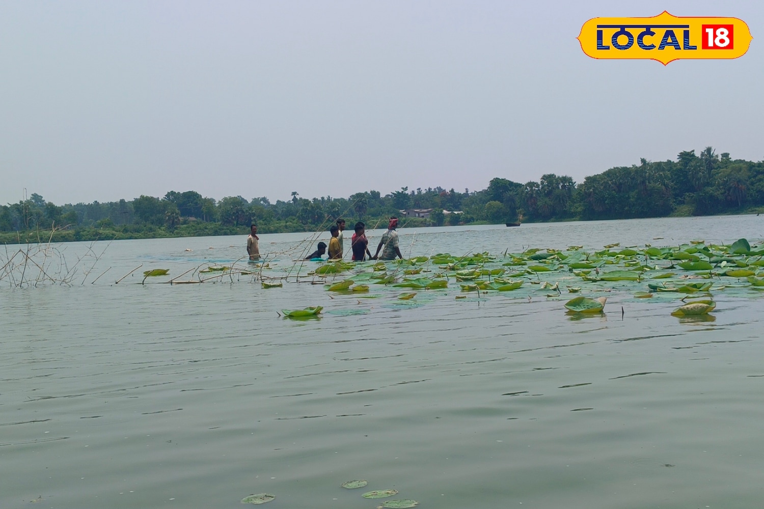 আপনার মালিকানায় পুকুর থাকলে, সেই পুকুরে খুব সহজেই মাছ চাষ করতে পারেন। ভালভাবে মাছ চাষ করতে পারলে সারা বছর ঘরে মাছের চাহিদা তো মিটবেই, সঙ্গে বাজারে বিক্রি করে হবে লক্ষ্মী লাভ।