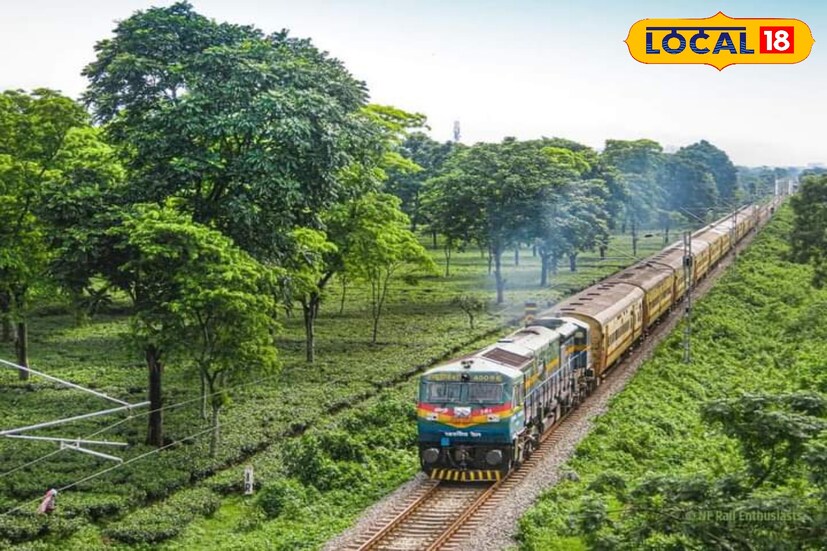 ডিজেল লোকোমোটিভ ইঞ্জিনটির সামনে লালকালির অক্ষরে লেখা হয়েছে ‘জলদাপাড়া ন্যাশনাল পার্ক’। একশৃঙ্গ গন্ডার এবং এই জাতীয় উদ্যানের ঐতিহ্য বিশ্বের দরবারে পৌঁছে দেওয়ায় ভারতীয় রেলের অভিনব উদ্যোগকে সাধুবাদ জানিয়েছে বনকর্মী ও পরিবেশপ্রেমীরা।