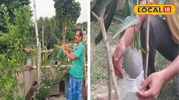 অবসরপ্রাপ্ত