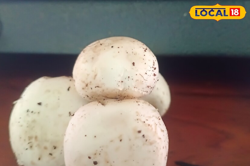 পুষ্টিবিদ প্রীতি মজুমদার জানিয়েছেন, মাশরুম খাওয়া অনেকেই এড়িয়ে যান। কিন্তু মাশরুমে রয়েছে অ্যান্টিঅক্সিডেন্ট, ভিটামিন, মিনারেল। এছাড়াও মাশরুমে থাকা প্রচুর পরিমাণে জিঙ্ক। যা শরীরকে সুস্থ রাখতে সাহায্য করে। থাকে ভিটামিন ডি। যা শরীরের হাড় শক্ত করে।