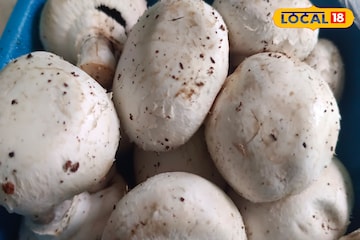 ডিম,মাছকে বলে বলে গোল দেবে এই নিরামিষ আইটেম, ব্লাডপ্রেসারে ফুলস্টপ, ভ্যানিশ মেদ ডিম,মাছকে বলে বলে গোল দেবে এই নিরামিষ আইটেম, ব্লাডপ্রেসারে ফুলস্টপ, ভ্যানিশ মেদ