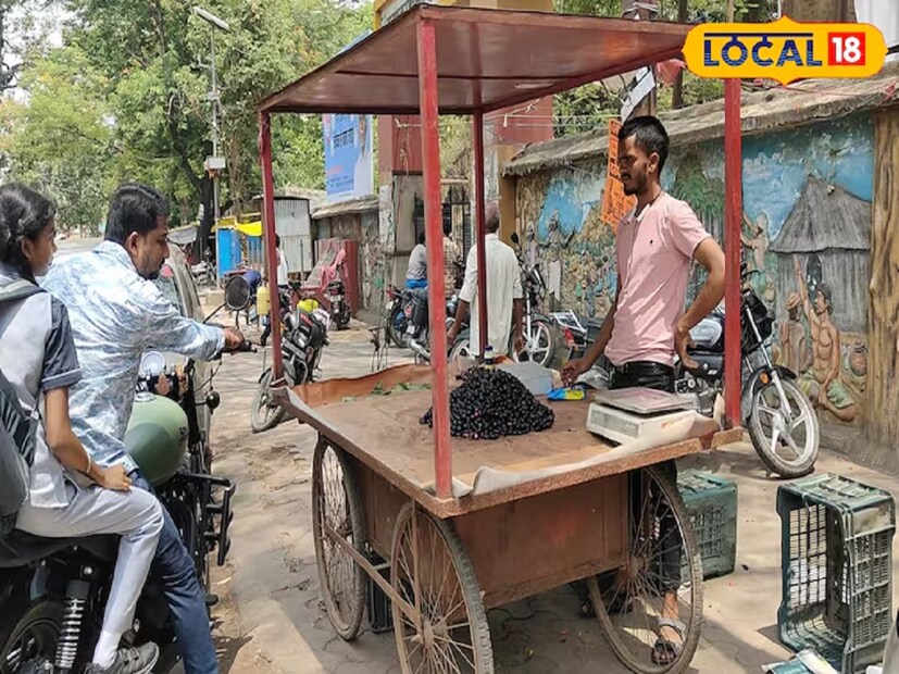 Rupanshu Choudhary: মরশুমী ফল খাওয়ার মজাই আলাদা। কিন্তু অতিরিক্ত কোনও কিছু খাওয়া আবার শরীরের পক্ষে চরম ক্ষতিকর হয়ে উঠতে পারে। আর ঠিক এই কথাটাই খাটে মরশুমি ফল কালো জামের ক্ষেত্রে! কারণ যাঁদের অ্যালার্জি রয়েছে, তাঁদের এই ফল থেকে দূরে থাকা উচিত। তাহলে জেনে নেওয়া যাক, কালো জাম অতিরিক্ত খেলে কী কী শারীরিক সমস্যা হতে পারে।