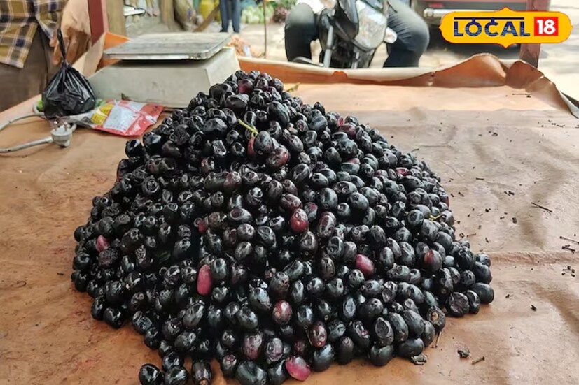 শুধু তা-ই নয়, কালো জামের মধ্যে রয়েছে ভিটামিন সি এবং অ্যান্টিঅক্সিডেন্টধর্মী উপাদান। যা ত্বকের জন্য উপকারী হিসেবে প্রমাণিত হয়। কিন্তু কিছু কিছু মানুষের ক্ষেত্রে এর পার্শ্বপ্রতিক্রিয়া প্রকট আকার ধারণ করে। যার জেরে তাঁদের মুখে ব্রণ, পিম্পল, বার্ধক্যের ছাপের মতো নানা রকম সমস্যা দেখা দিতে থাকে।